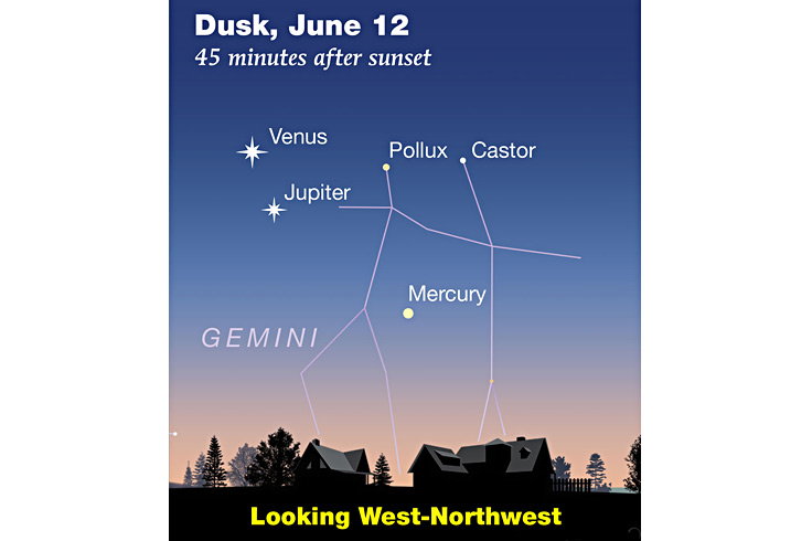 WEBVic_Jun12_ev_NORM_FEATURED image