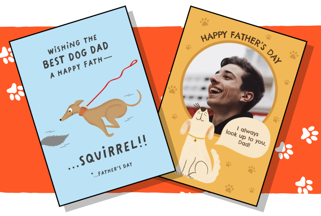 from the dog cards