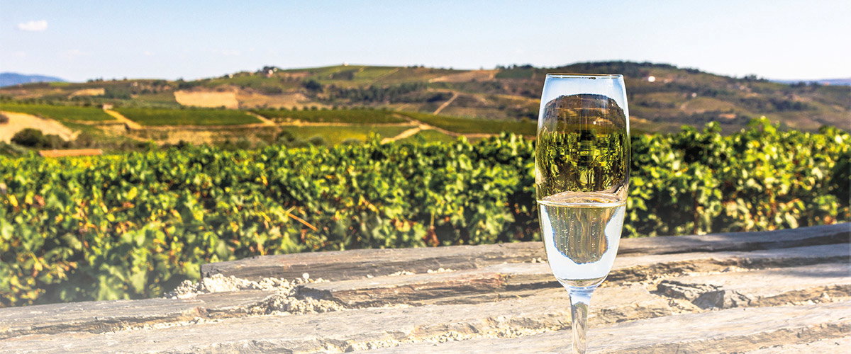 Secrets of the Douro & Lisbon