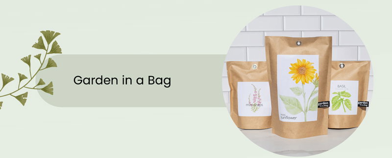 Just add water to grow your own fresh organic herbs indoors.