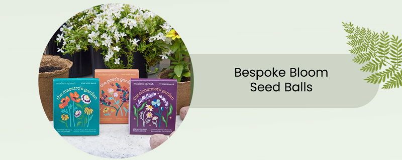 Bring the bees to your backyard!