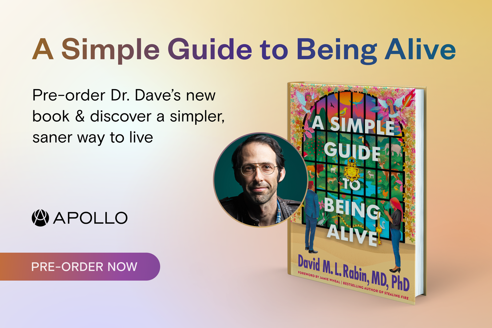 pre-order a simple guide to being alive