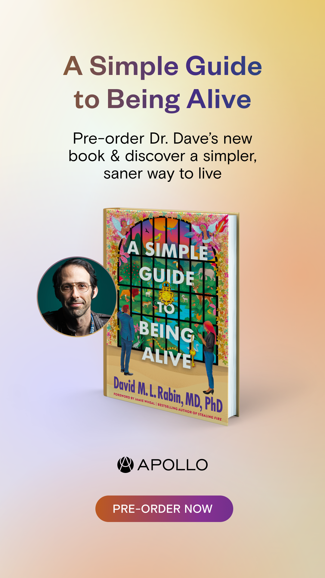 pre-order a simple guide to being alive