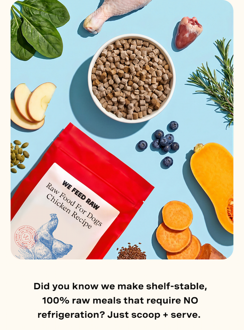 Did you know we make shelf-stable, 100% raw meals that require NO refrigeration? Just scoop + serve. 