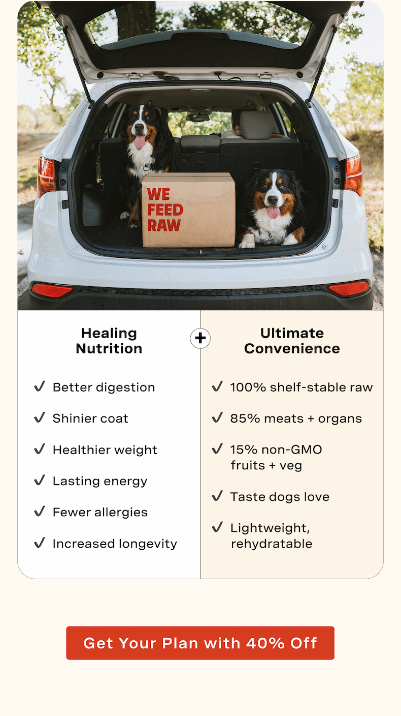 Healing Nutrition + Ultimate Convenience. 