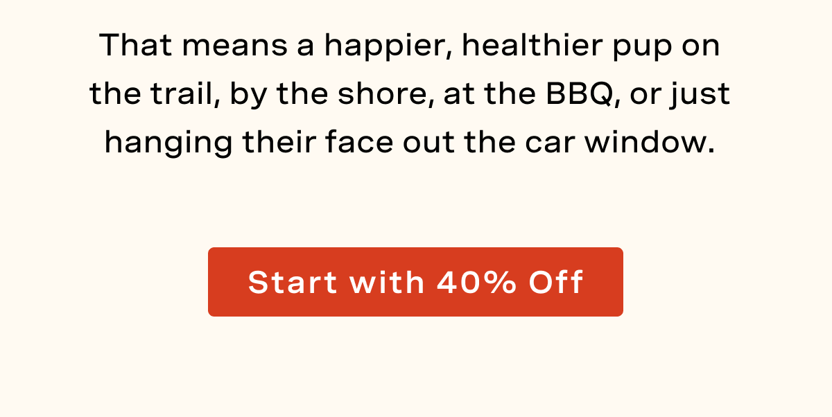 That means a happier, healthier pup on the trail, by the shore, at the BBQ, or just hanging their face out the car window.