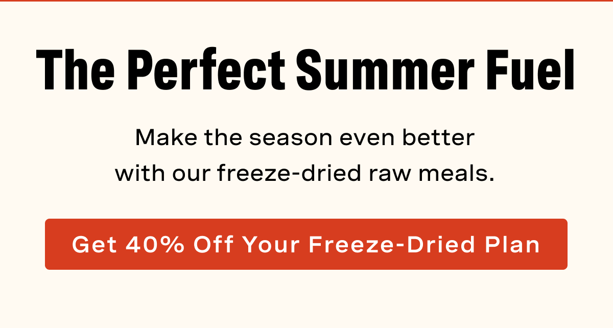 The Perfect Summer Fuel - Make the season even better with our freeze-dried raw meals.