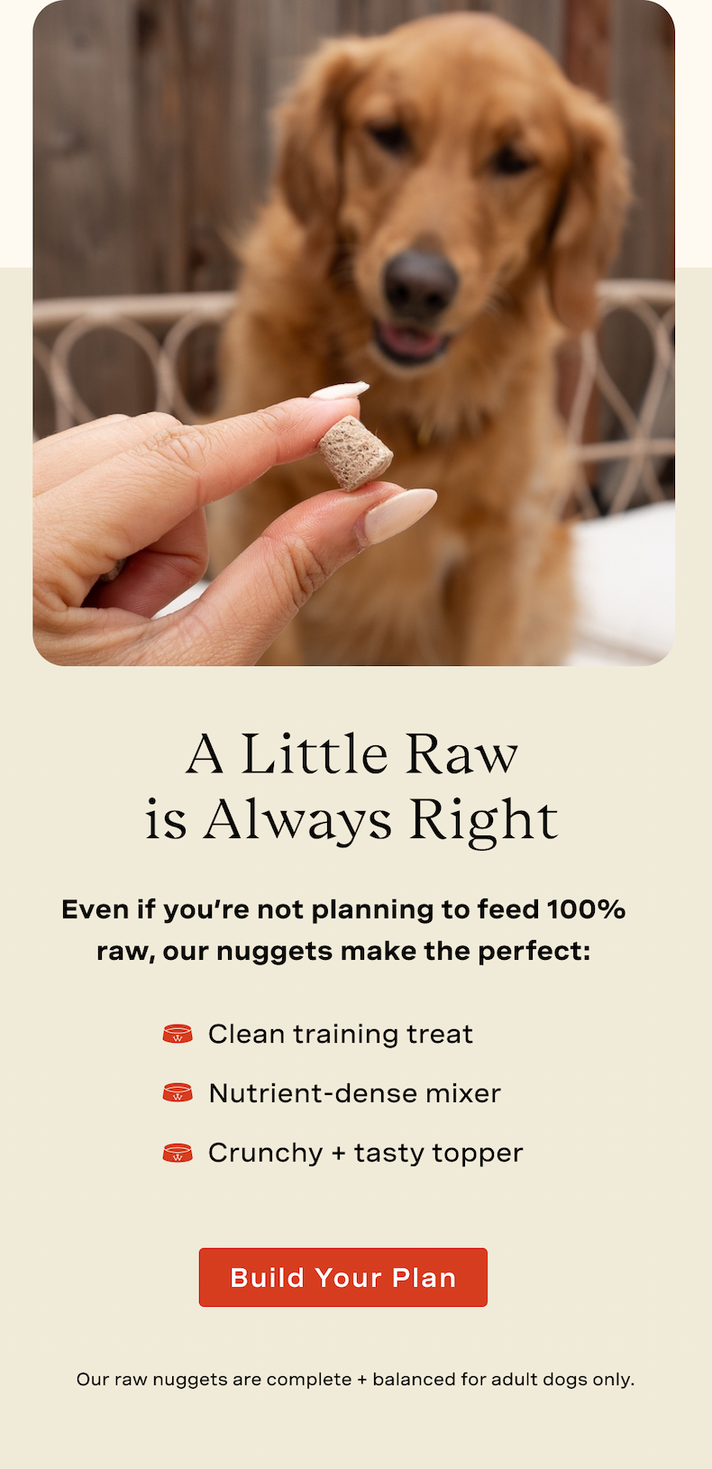 A Little Raw is Always Right. Even if you’re not planning to feed 100% raw, our nuggets make the perfect: Clean training treat, nutrient-dense mixer, crunch + tasty topper