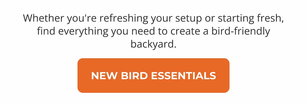 Whether you're refreshing your setup or starting fresh
