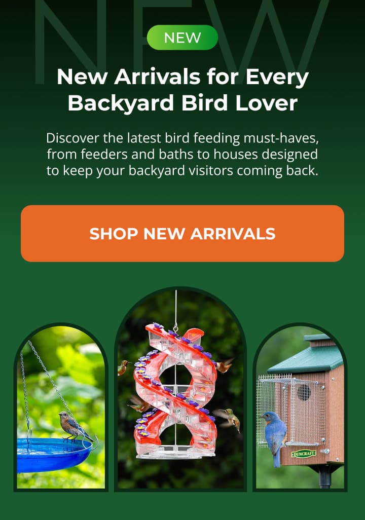 New Arrivals for Every Backyard Bird Lover