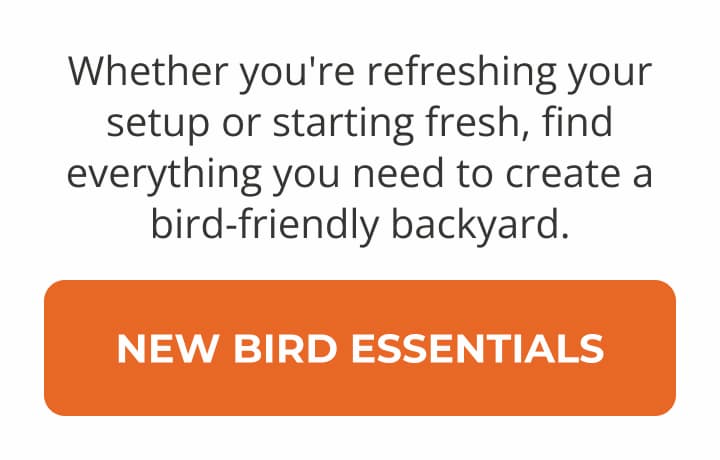 Whether you're refreshing your setup or starting fresh