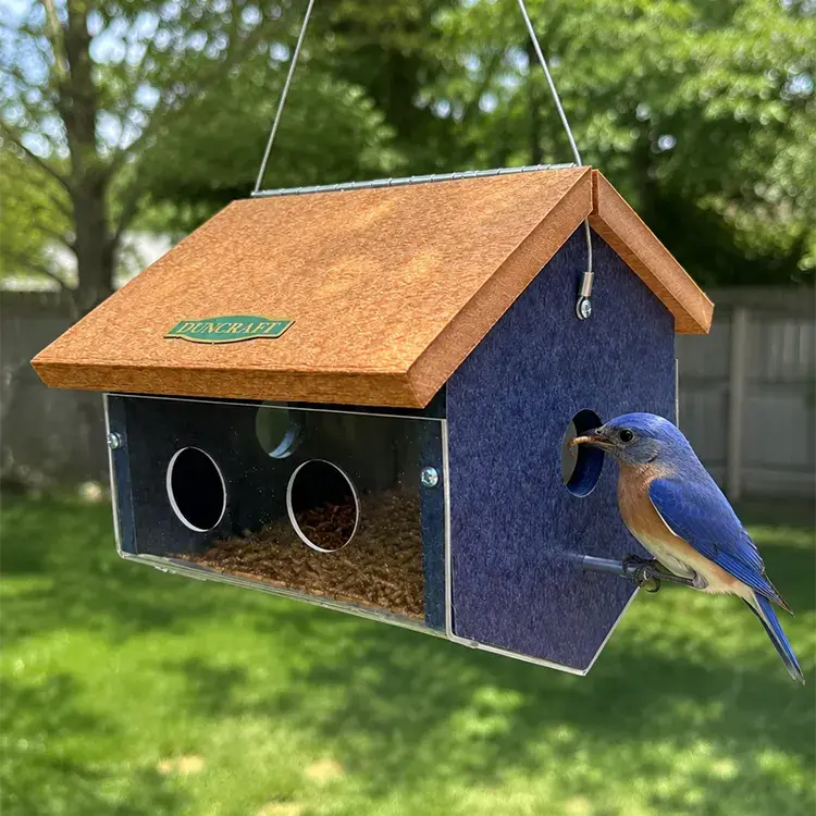 Image of Duncraft Easy View Bluebird Feeder (Manufacturer Second)