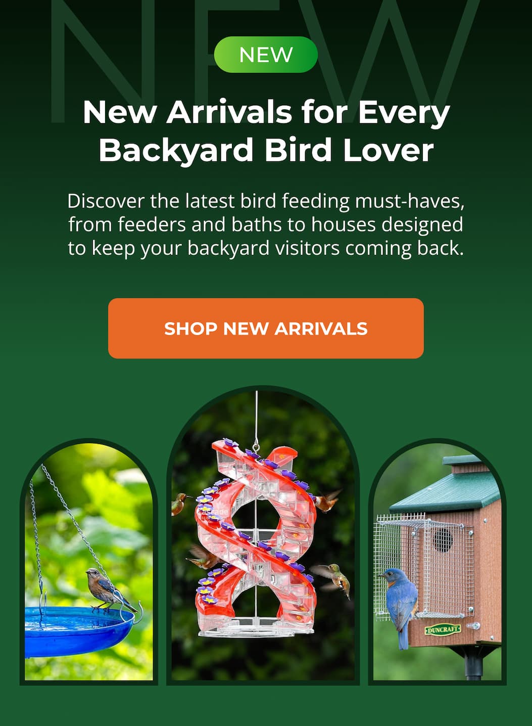 New Arrivals for Every Backyard Bird Lover