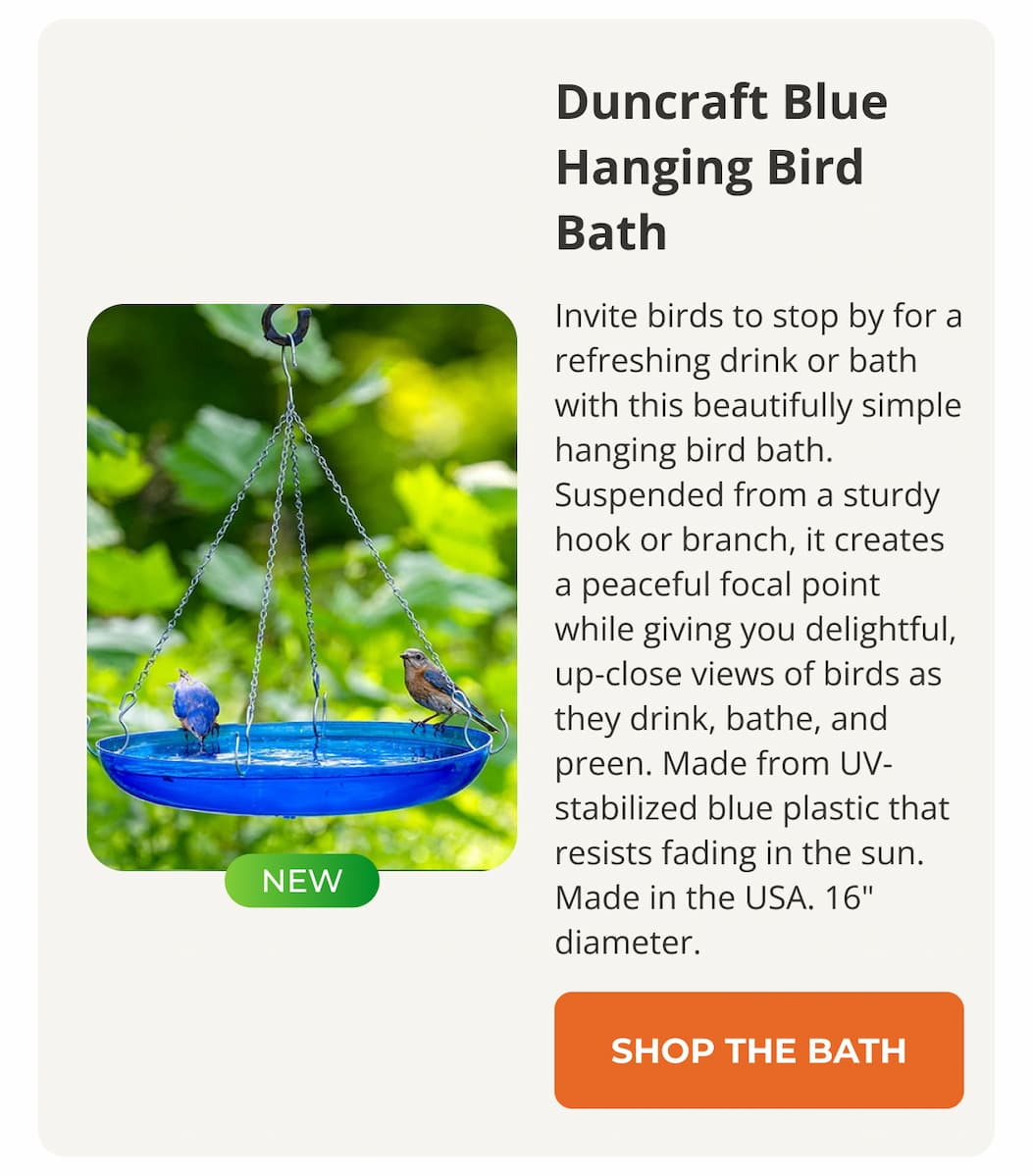 Duncraft Blue Hanging Bird Bath