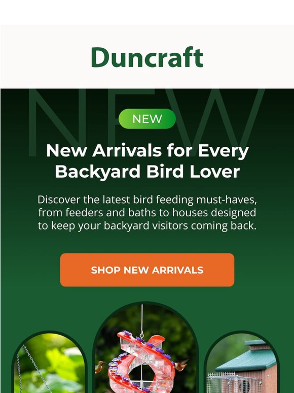 New Arrivals Your Birds Will Love