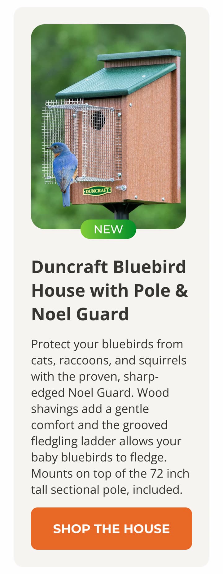Duncraft Bluebird House with Pole & Noel Guard
