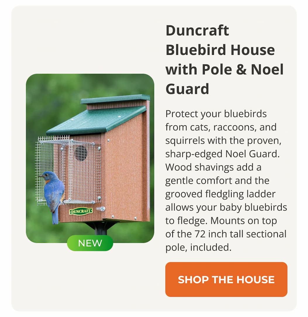 Duncraft Bluebird House with Pole & Noel Guard