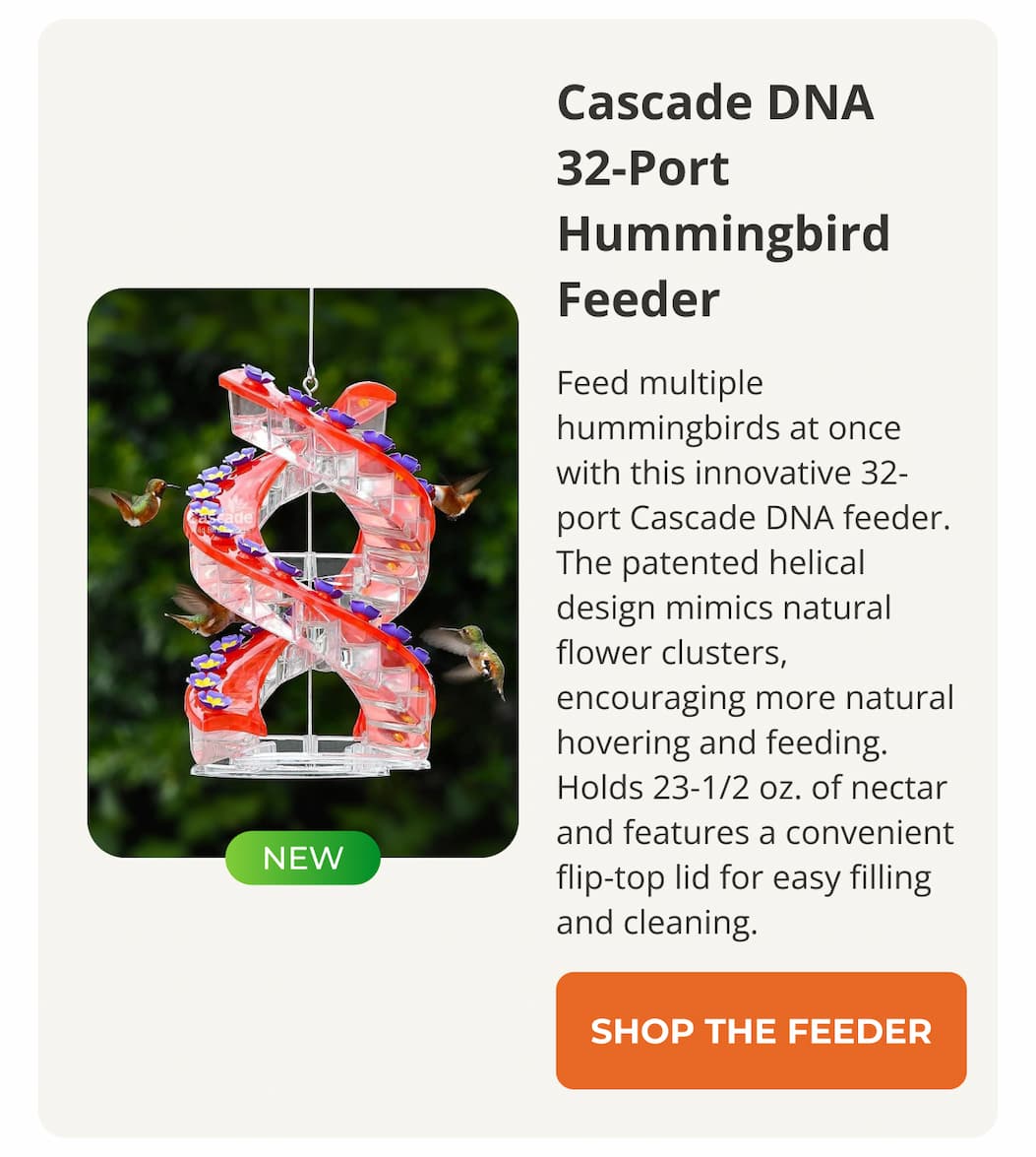 Cascade DNA 32-Port Hummingbird Feeder