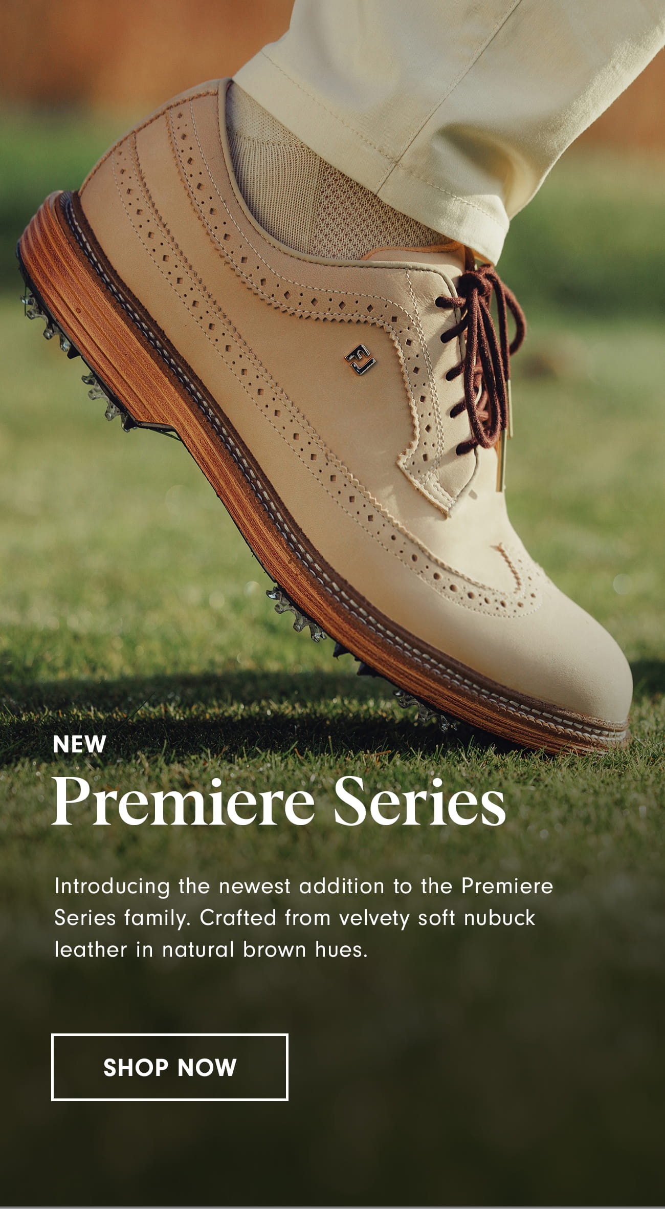 New Premiere Stories Marquis