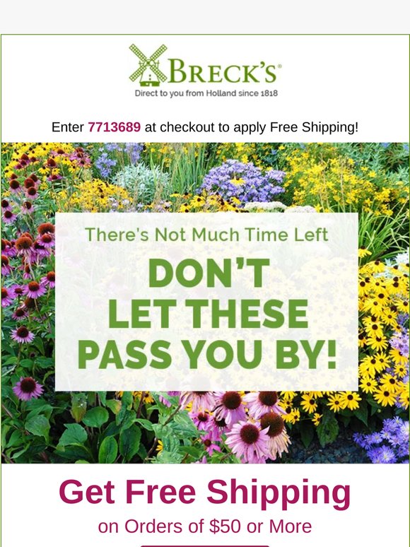 Not much time left—if you’re still interested in irises.