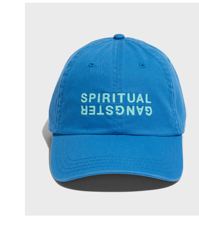 Sg Logo Dad Cap