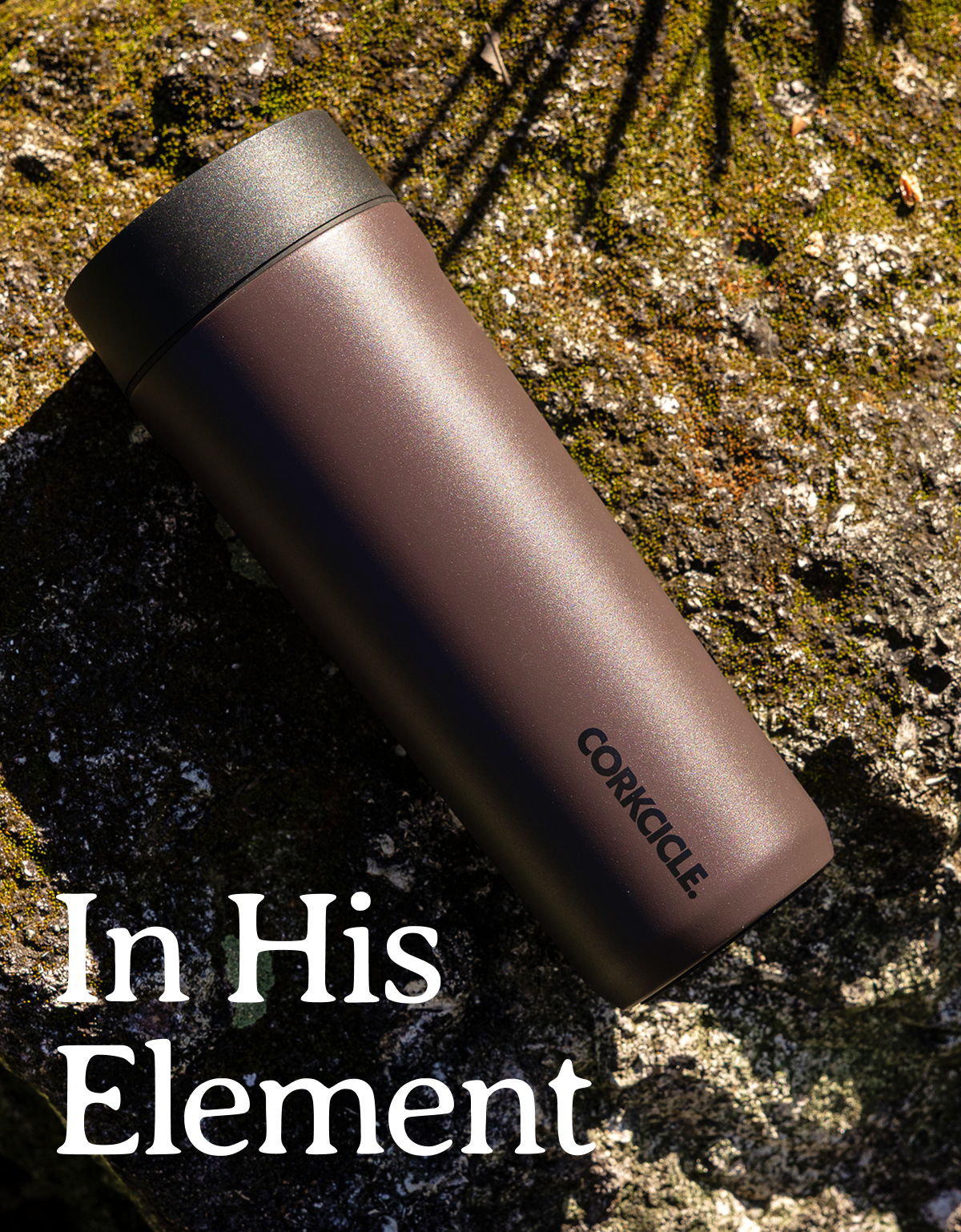Shop our Father's Day Gift Guide
