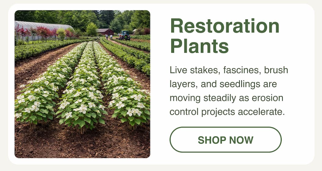 Restoration plants