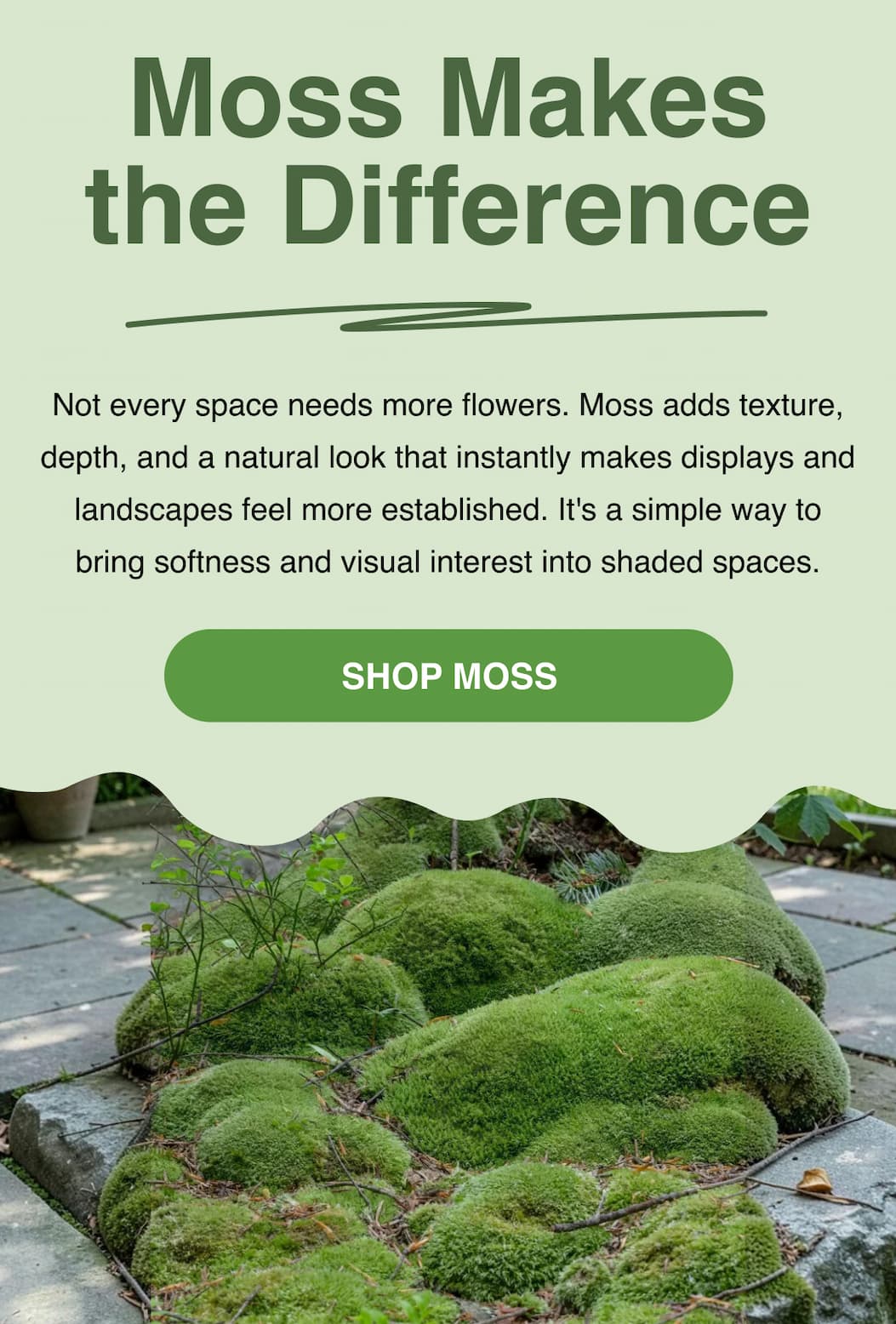 Moss makes the difference