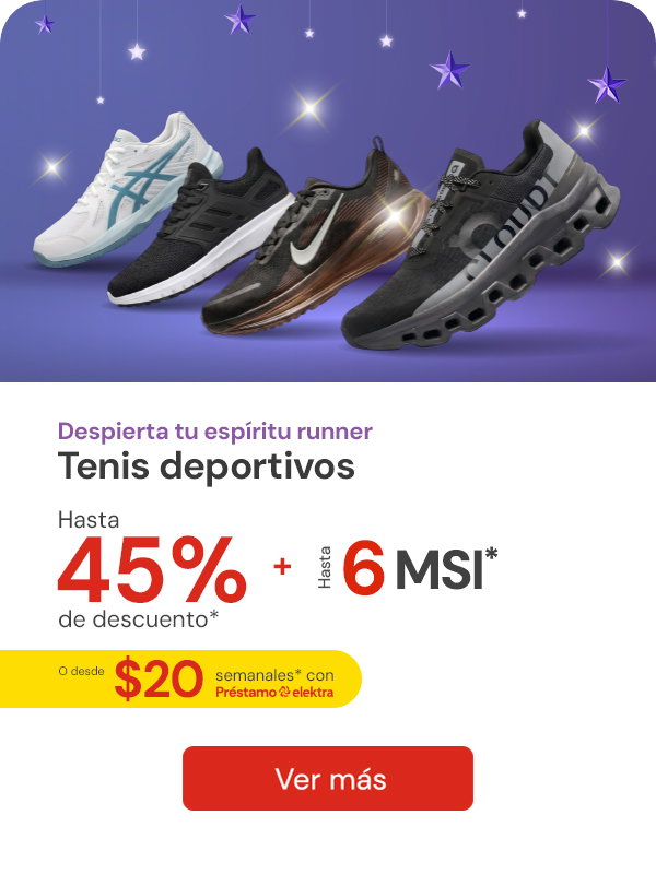 Tenis Caballero