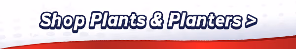 Shop Plants & Planters