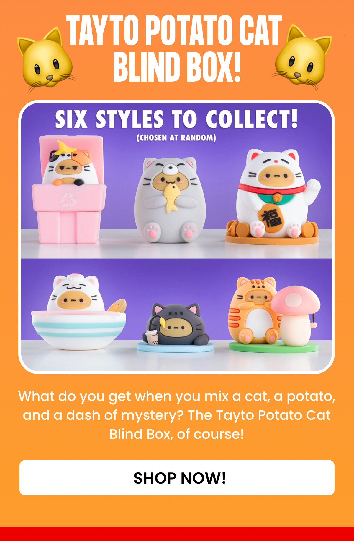 Tayto Potato Cat Blind Box! 