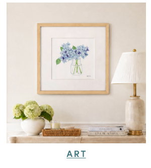 Shop Art