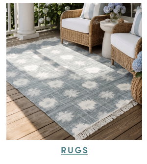 Shop Rugs