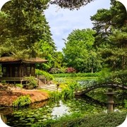 Timeless Garden Beauty