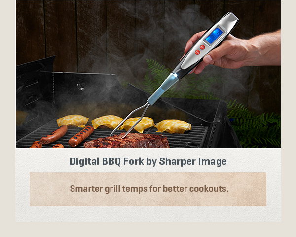 Digital BBQ Fork by Sharper Image