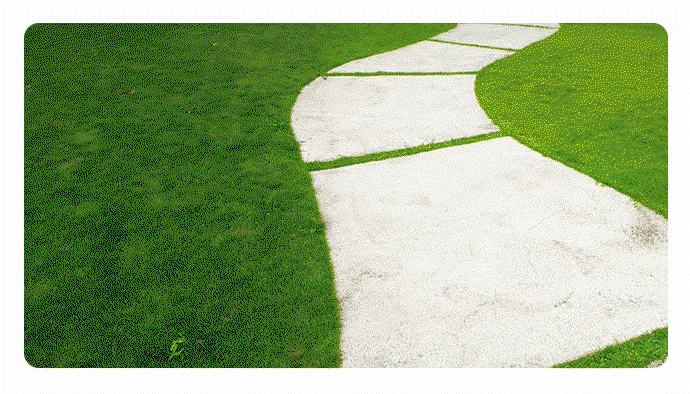 GardenGlow Instant