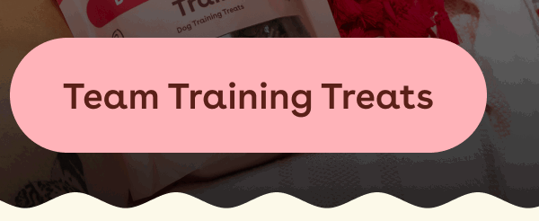 Team training treats