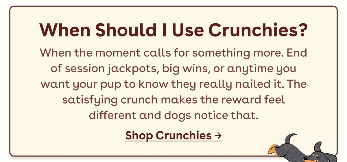 Shop crunchies 