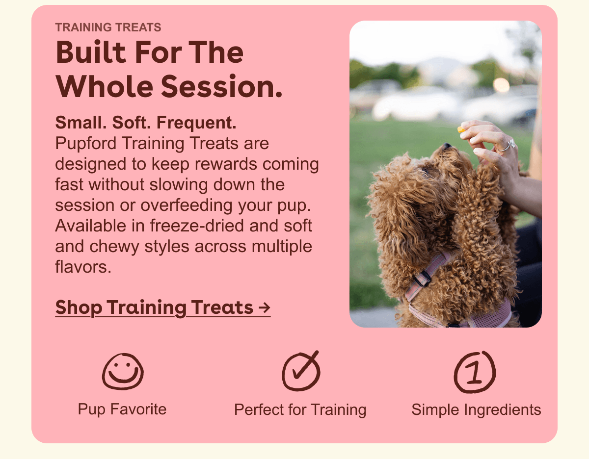 Shop training treats 