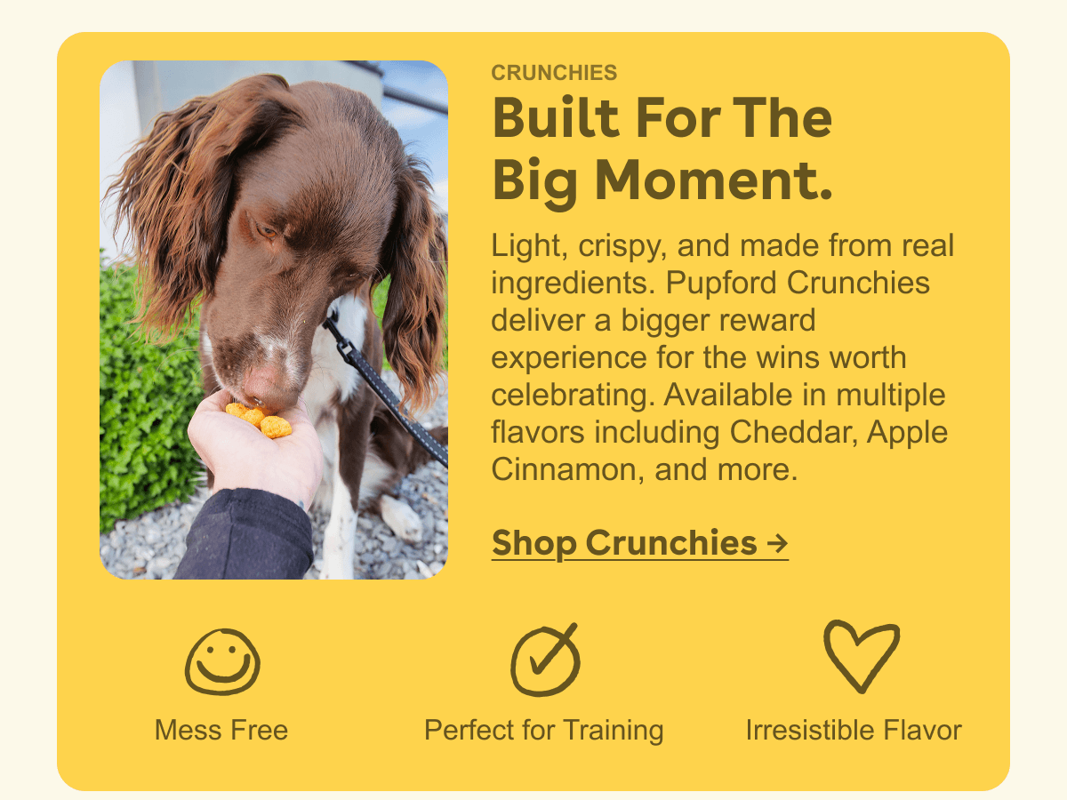 Shop crunchies 