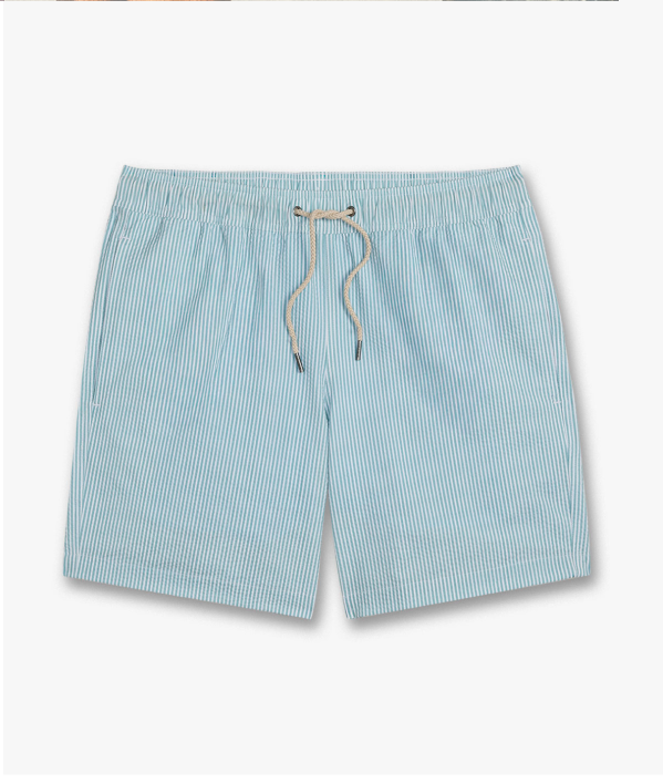 Bayberry Trunk
