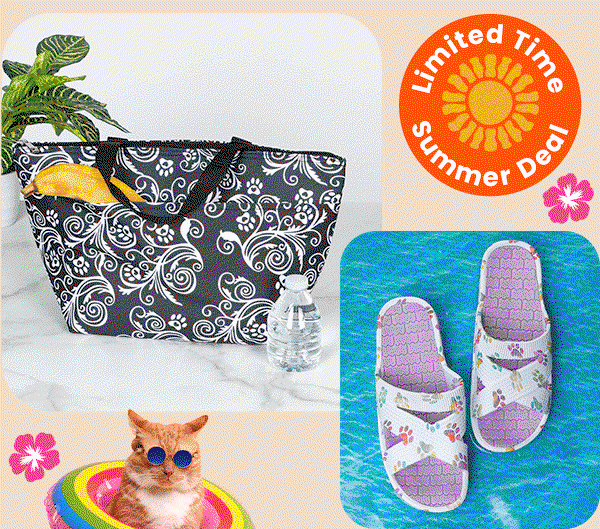 Limited Time Summer Deal; collage of deals