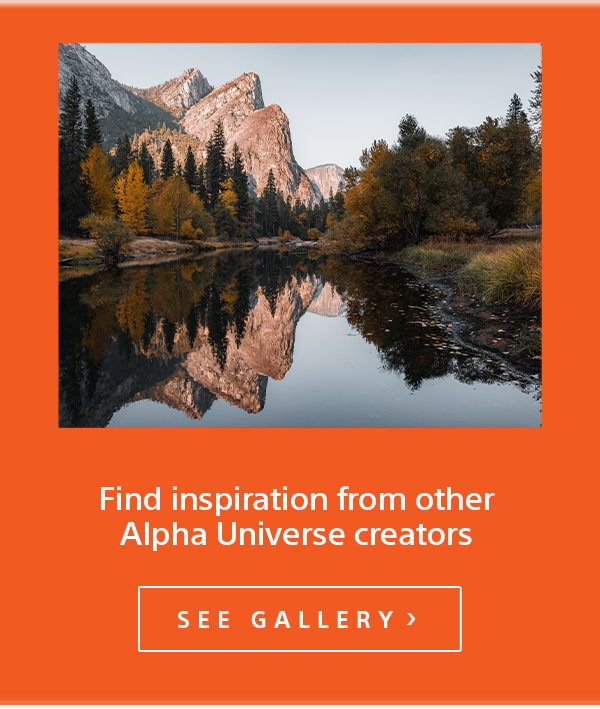 Find inspiration from other Alpha Universe creators | See Gallery