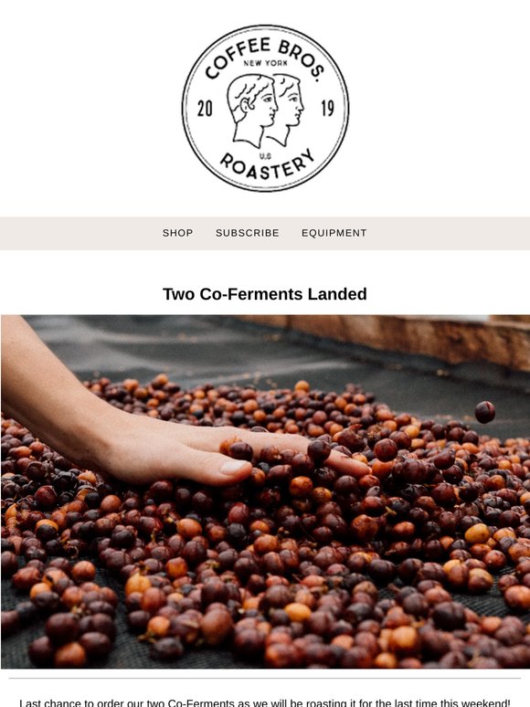 Last Chance: 20% off two co-ferments
