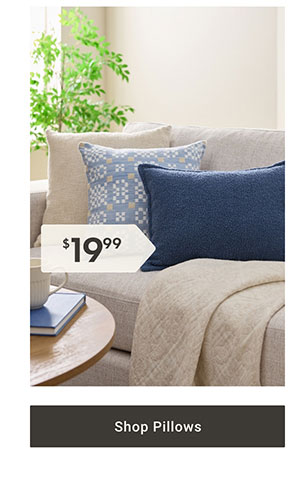 Shop Pillows >