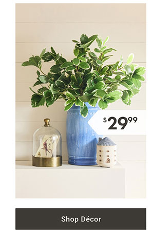 Shop Décor >