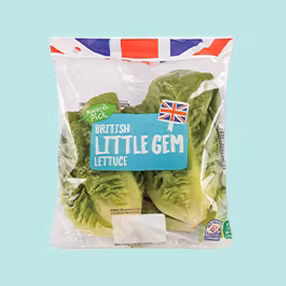 Little Gem Lettuce Product Image