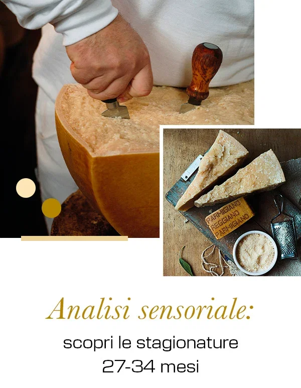 Analisi sensoriale: scopri le stagionature 27-34 mesi