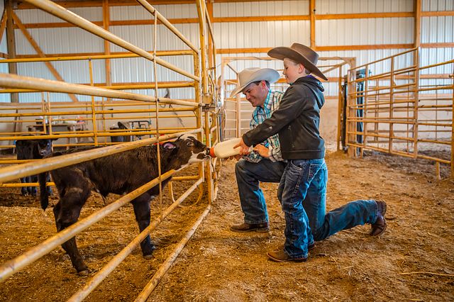 A man and a boy wearing Justin Boots.