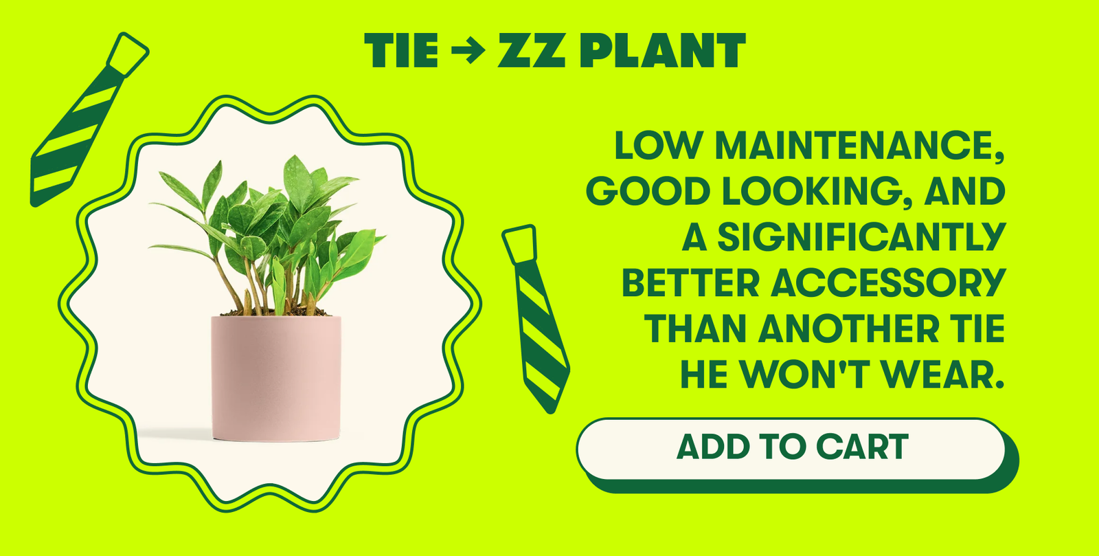 skip the cliches - here's the plant gift guide for every kind of Dad